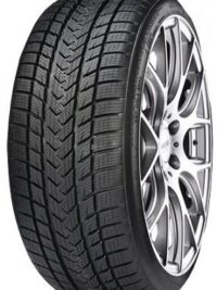 GRIPMAX SUREGRIP PRO WINTER 265/30 R19